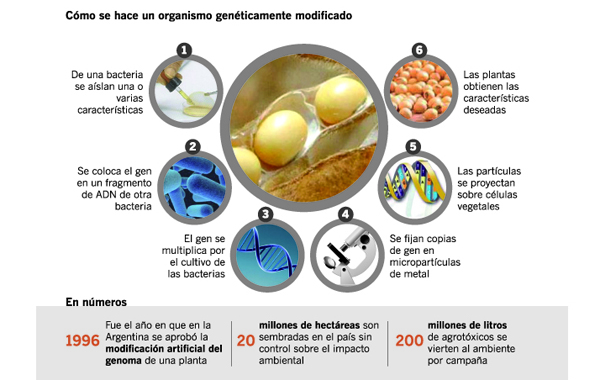 region1.JPG_141358524