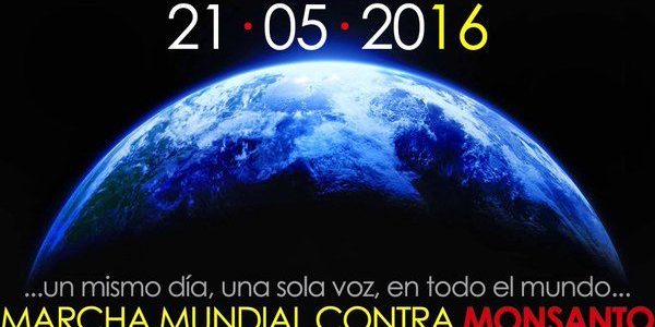 Marcha-mundial-contra-monsanto.-Twitter-300×165@2x
