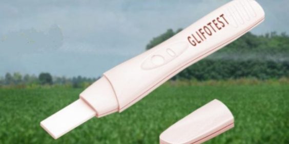 fotos_gal_inicio.php