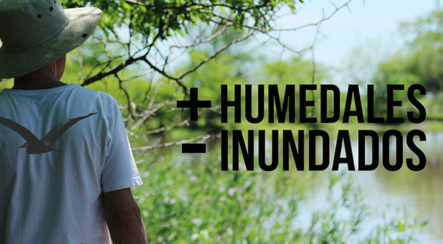+humedales