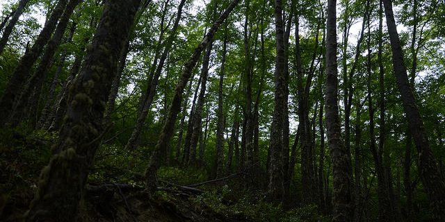 17083567511_f532de2479_z