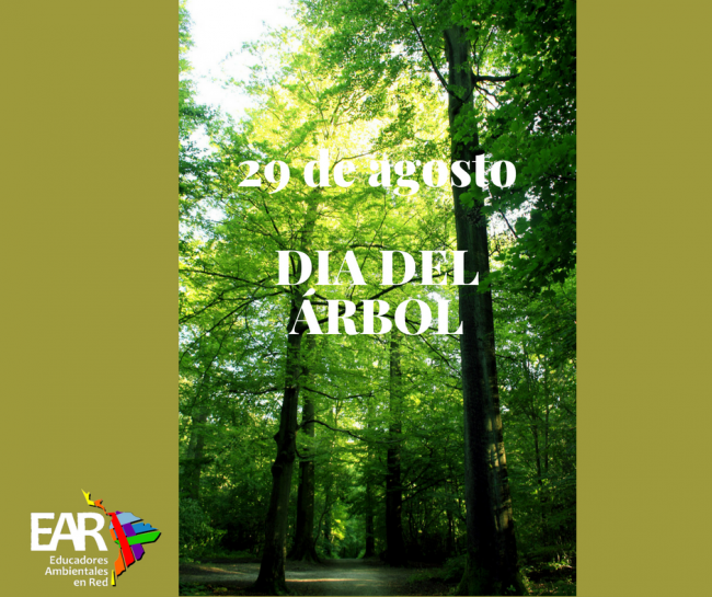 ARBOL-29AGOSTO