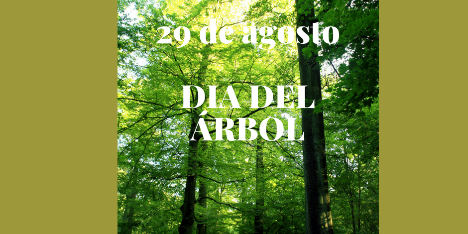 ARBOL-29AGOSTO