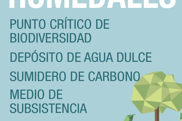 Social_Static_Spanish_1