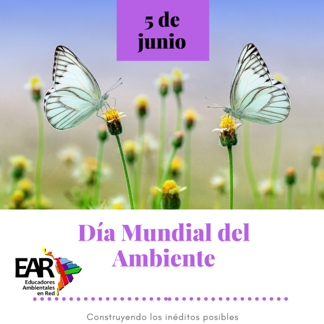 diaambiente2023